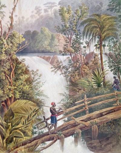 Cascade d